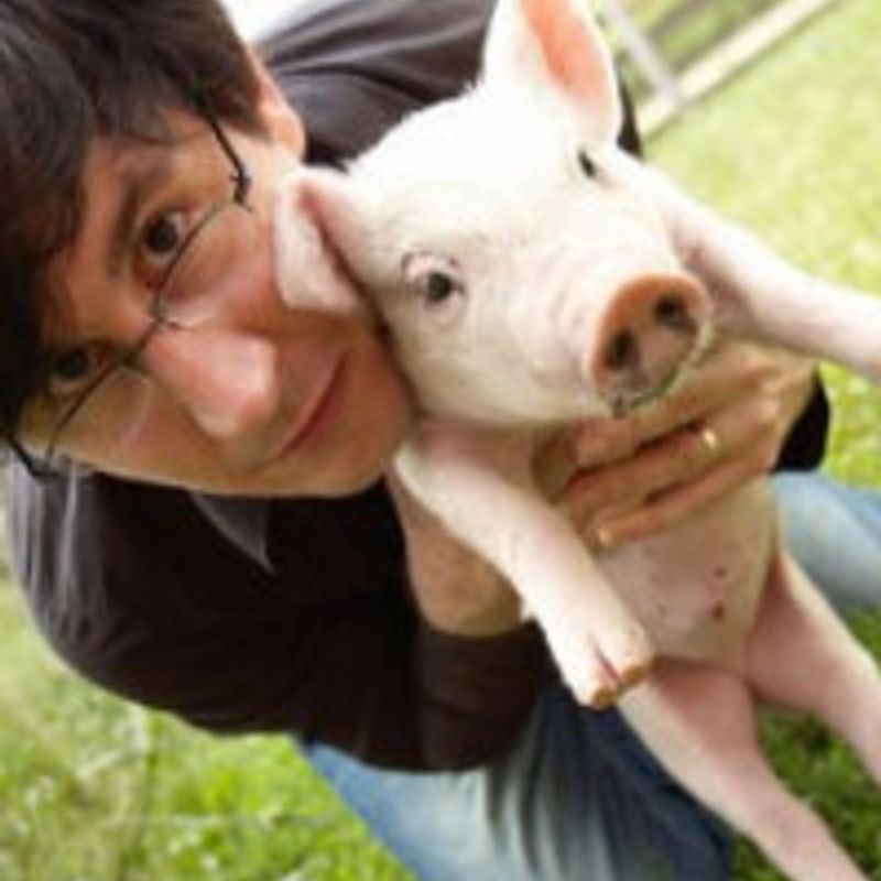 John Darnielle profile picture