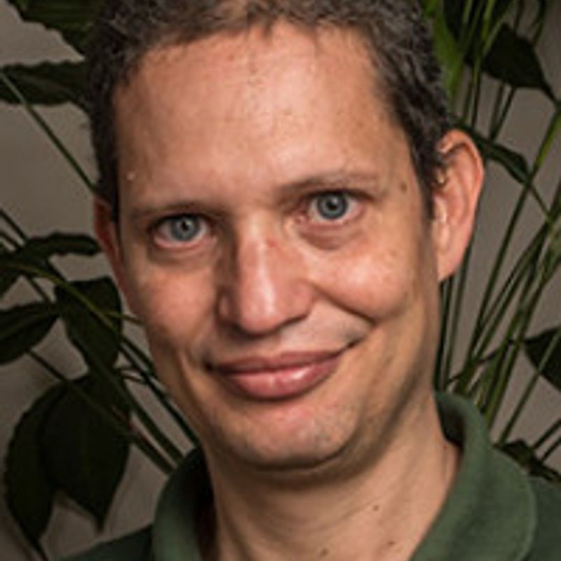 Bernardo Ricupero profile picture