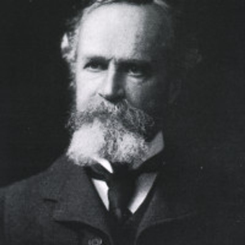 William James profile picture