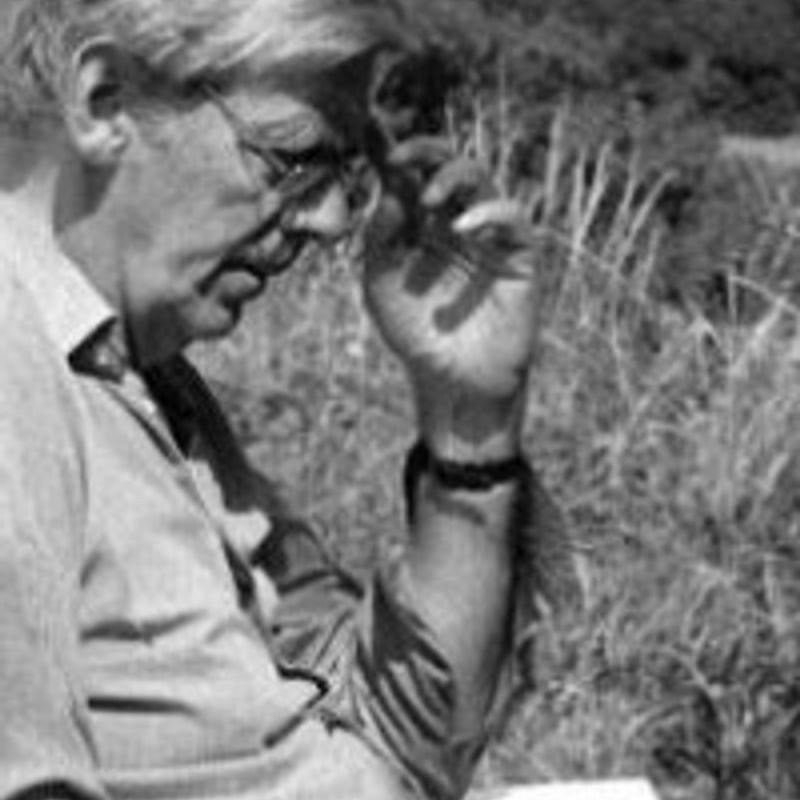 Michael Baxandall profile picture