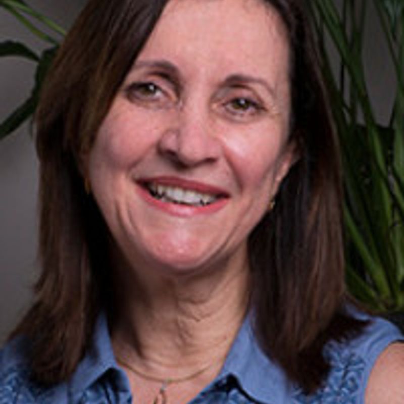 Marta Teresa da Silva Arretche profile picture