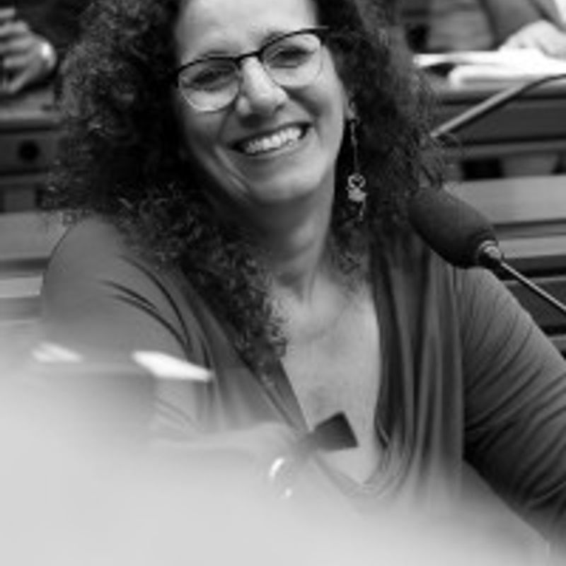 Jandira Feghali profile picture