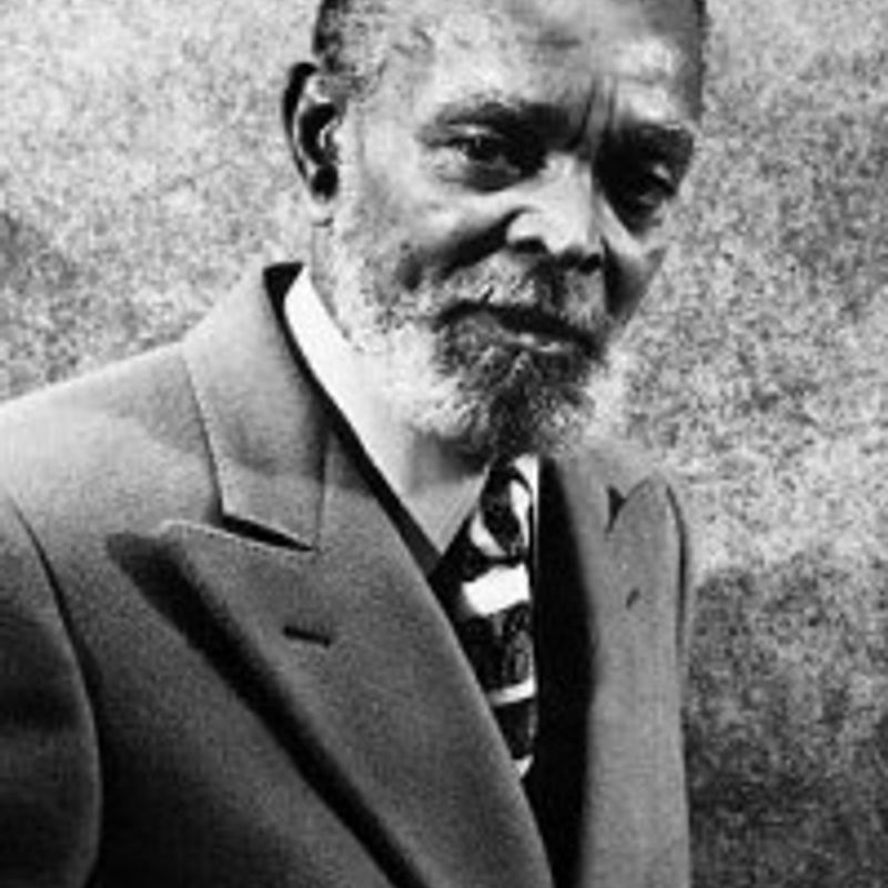 Chester Bomar Himes profile picture