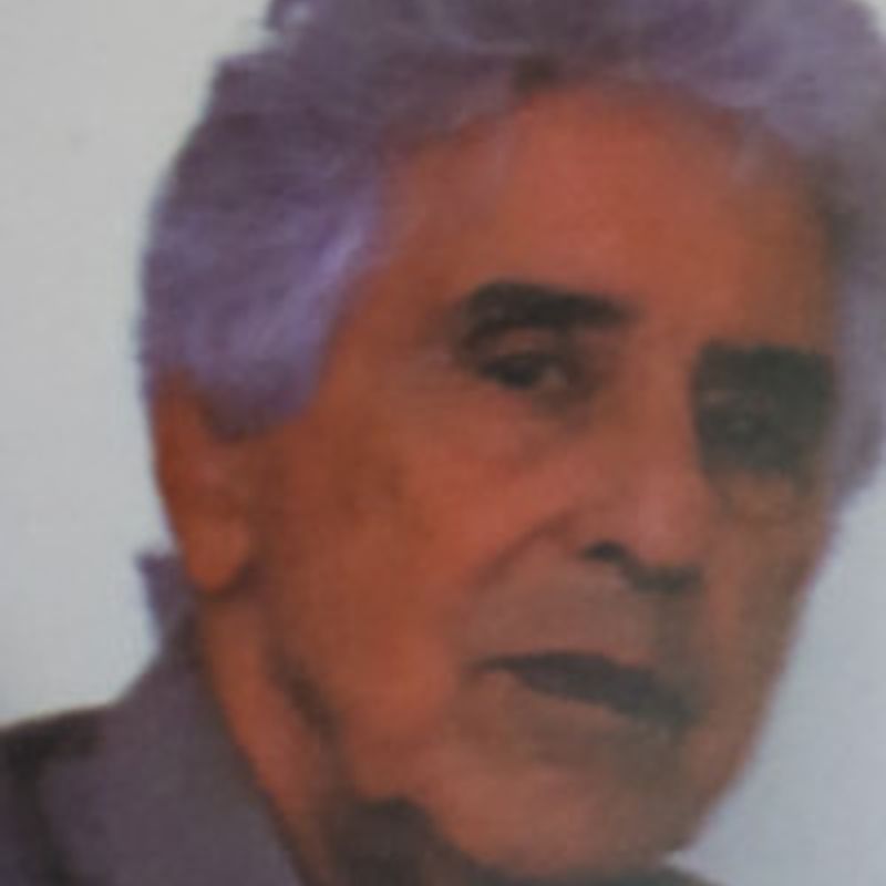 Manoel Vicente Filho profile picture
