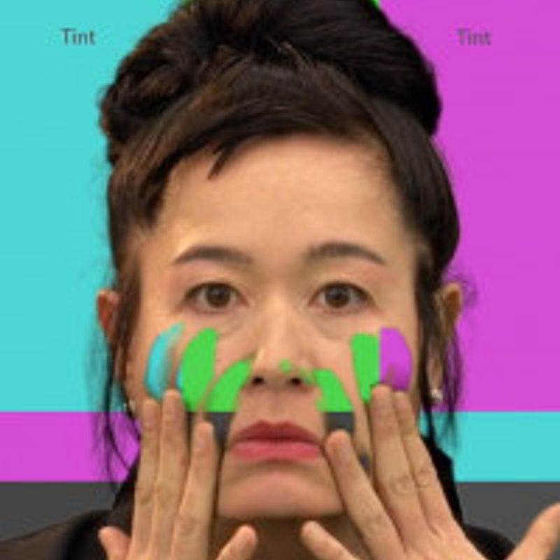 Hito Steyerl profile picture