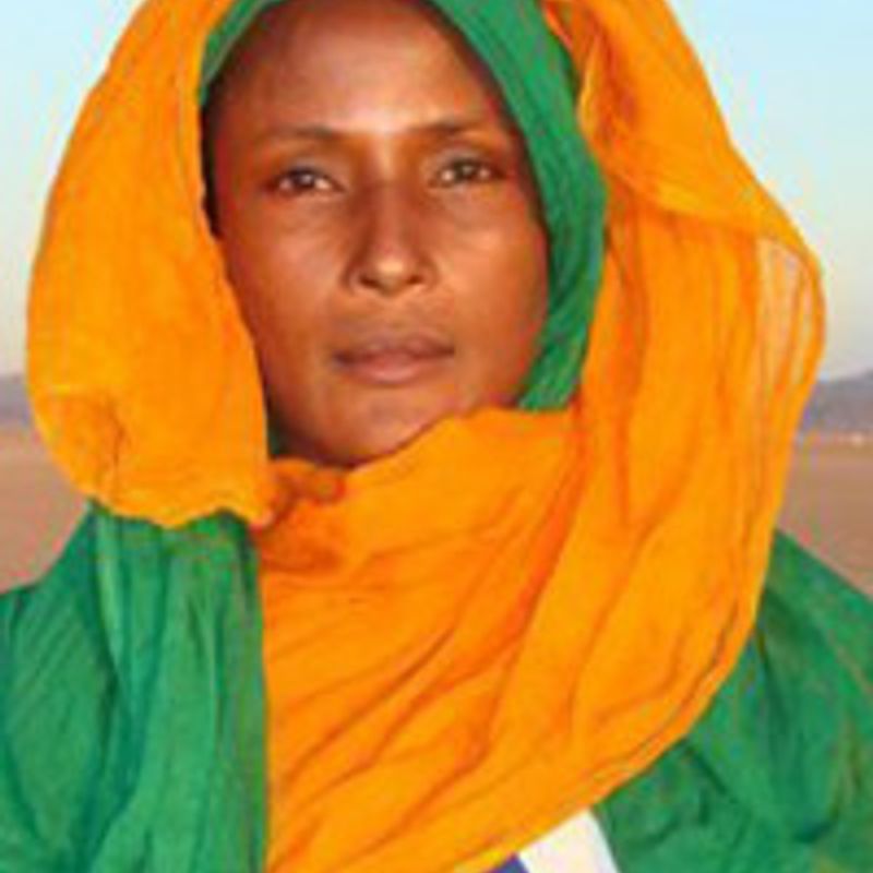  Waris Dirie  profile picture