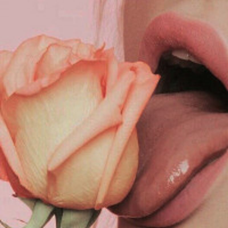 Anya RK profile picture