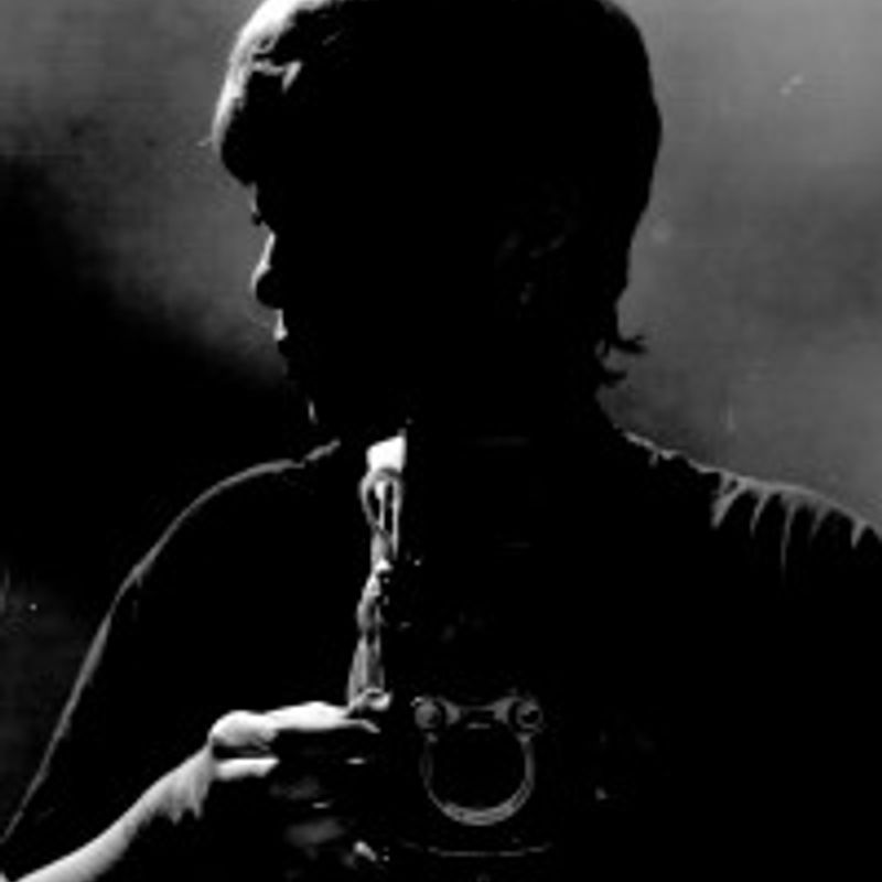 Ivo Puiupo profile picture