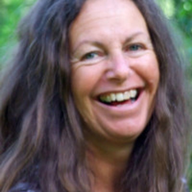 Jane Linfoot profile picture
