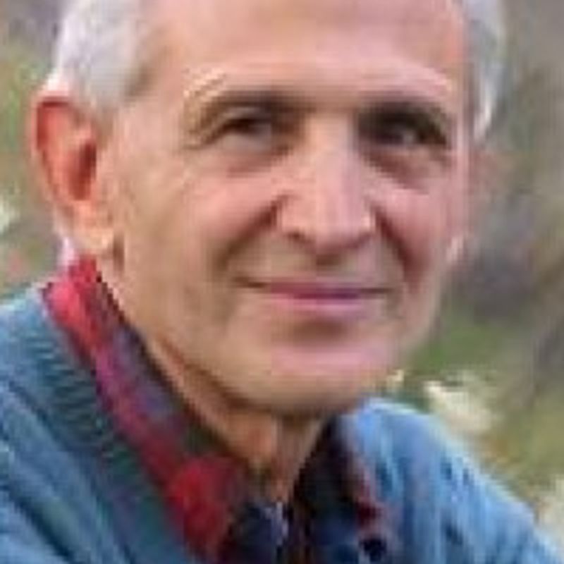 Peter Levine profile picture