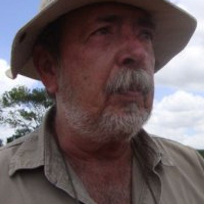 Marcos Antonio Gomes de Mattos de Albuquerque profile picture
