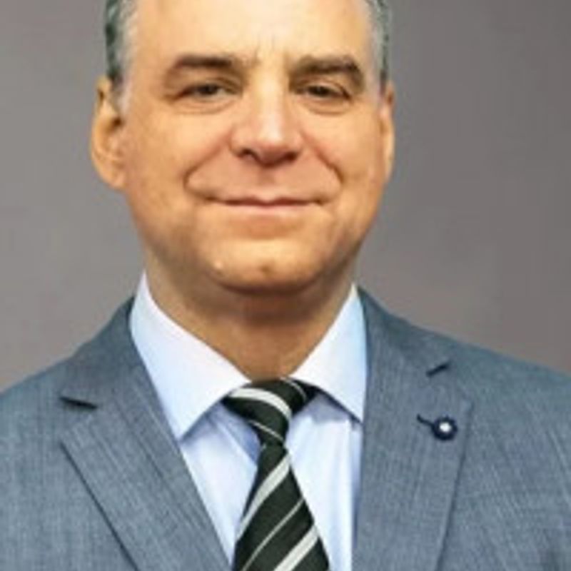 Ingo Wolfgang Sarlet profile picture