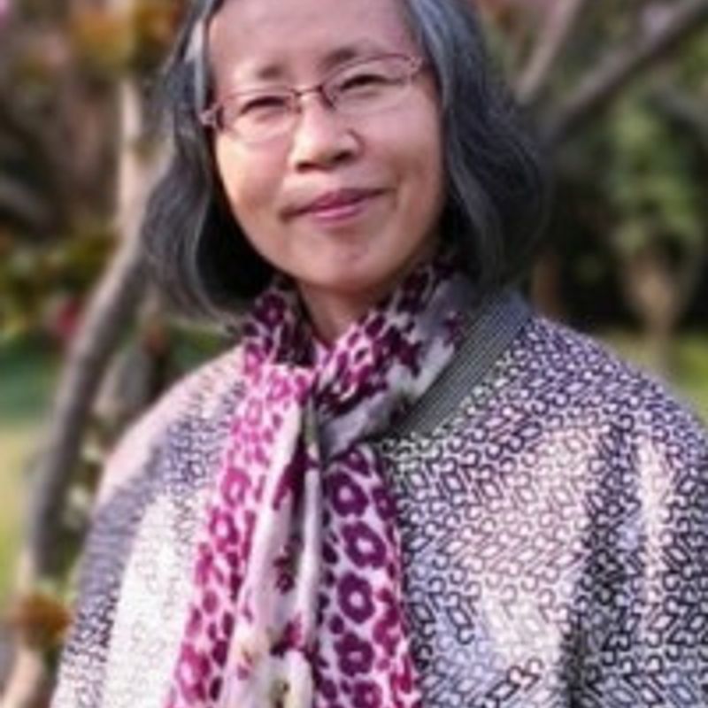 Can Xue profile picture