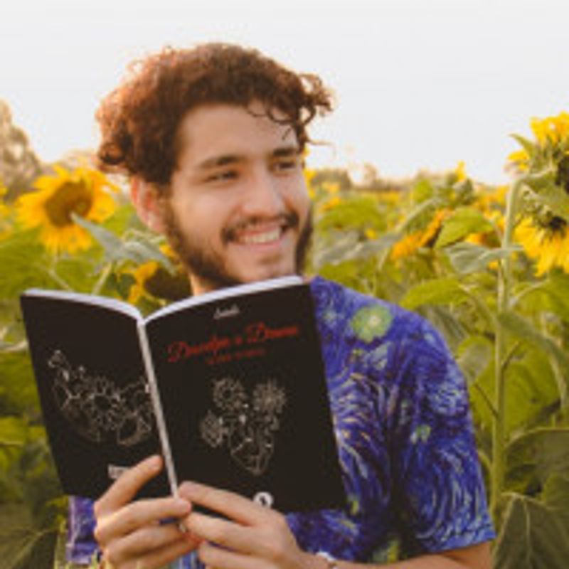 Fel Noites profile picture