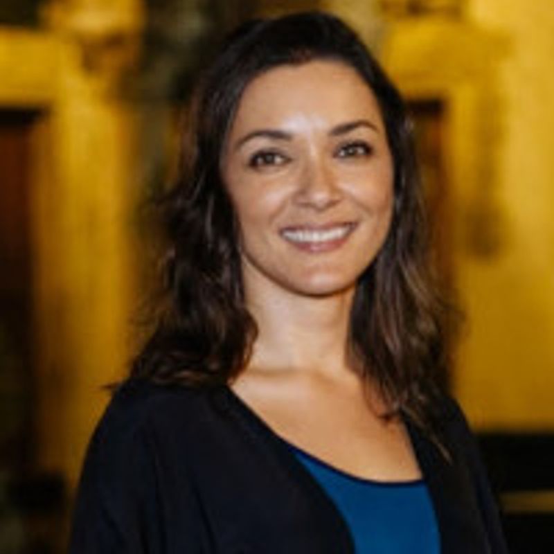 Ilona Szabó de Carvalho profile picture