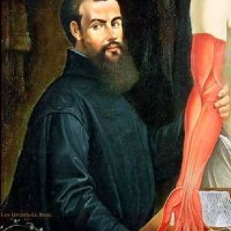 Andreas Vesalius profile picture