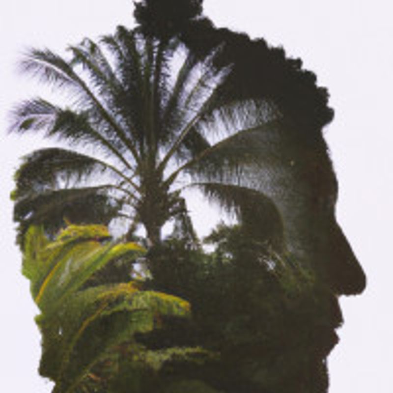 Daniel Abreu de Queiroz profile picture