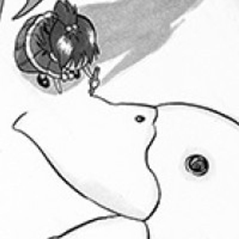 Toshiaki Iwashiro profile picture
