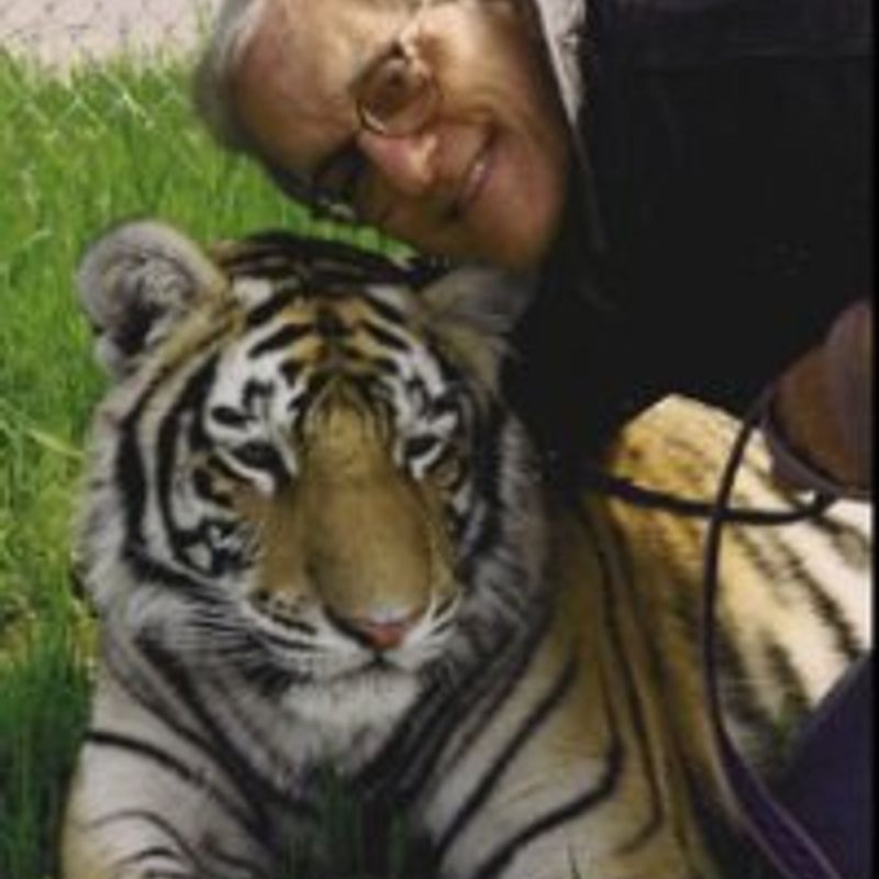 Dan Greenburg profile picture