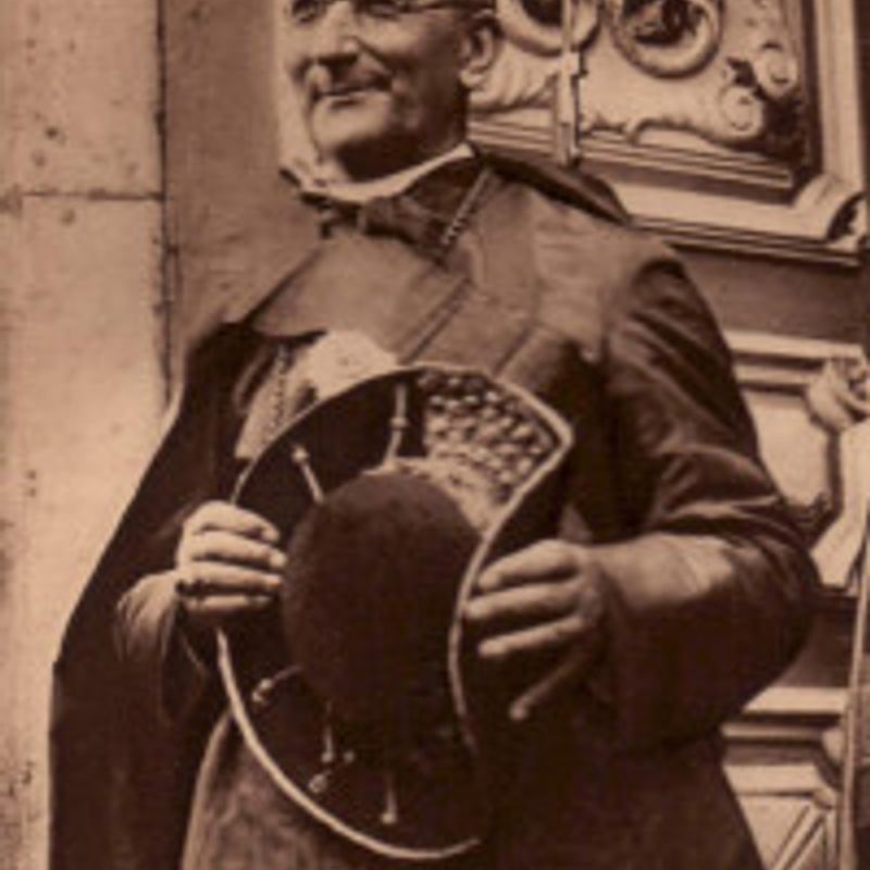 Alexis-Henri-Marie Lépicier profile picture