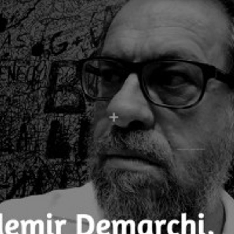Ademir Demarchi profile picture