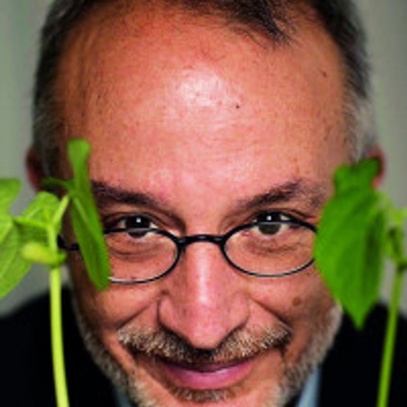 Stefano Mancuso profile picture