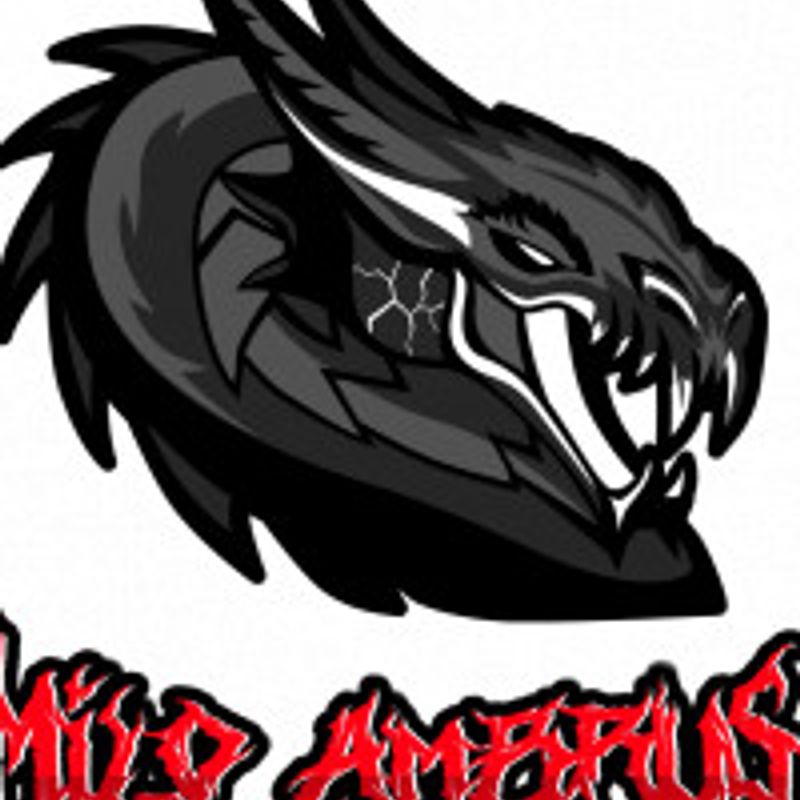 Milo Ambrus profile picture