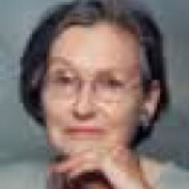 Diane Moczar  profile picture