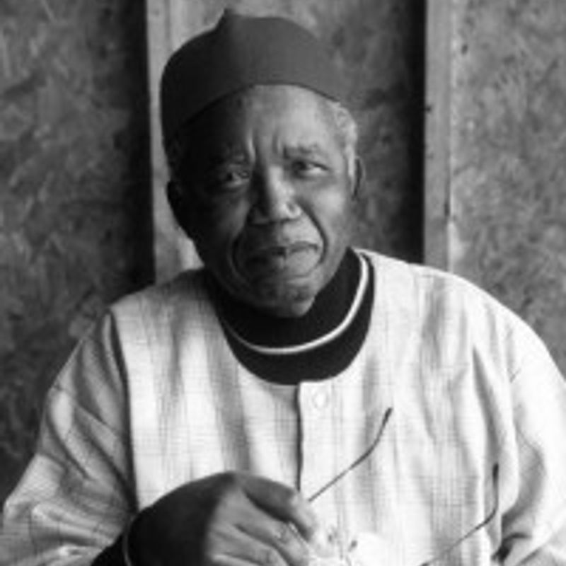 Albert Chinualumgu Achebe profile picture