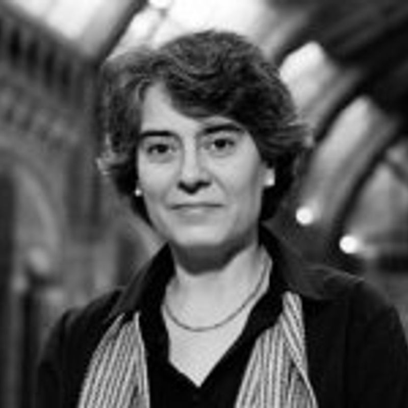 Matilde Asensi profile picture