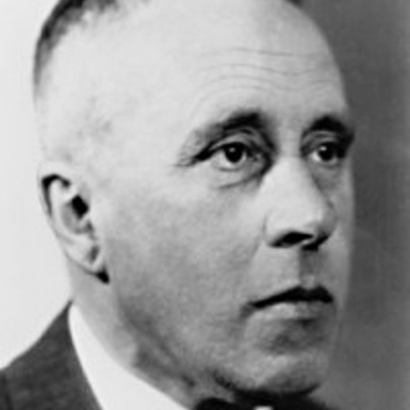 Johan Huizinga profile picture