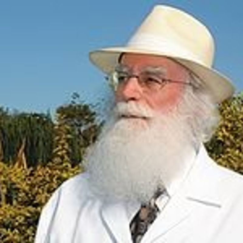 Waldo Vieira profile picture