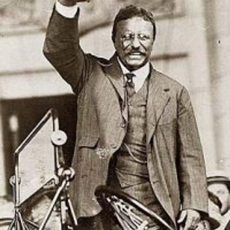 Theodore "Teddy" Roosevelt, Jr. profile picture