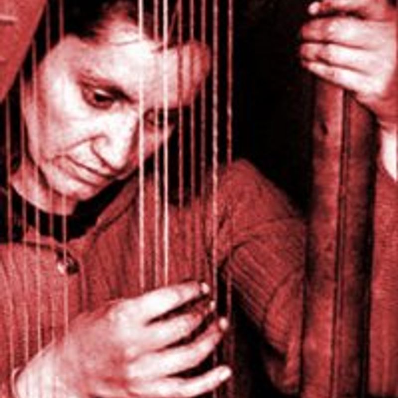 Violeta del Carmen Parra Sandoval profile picture