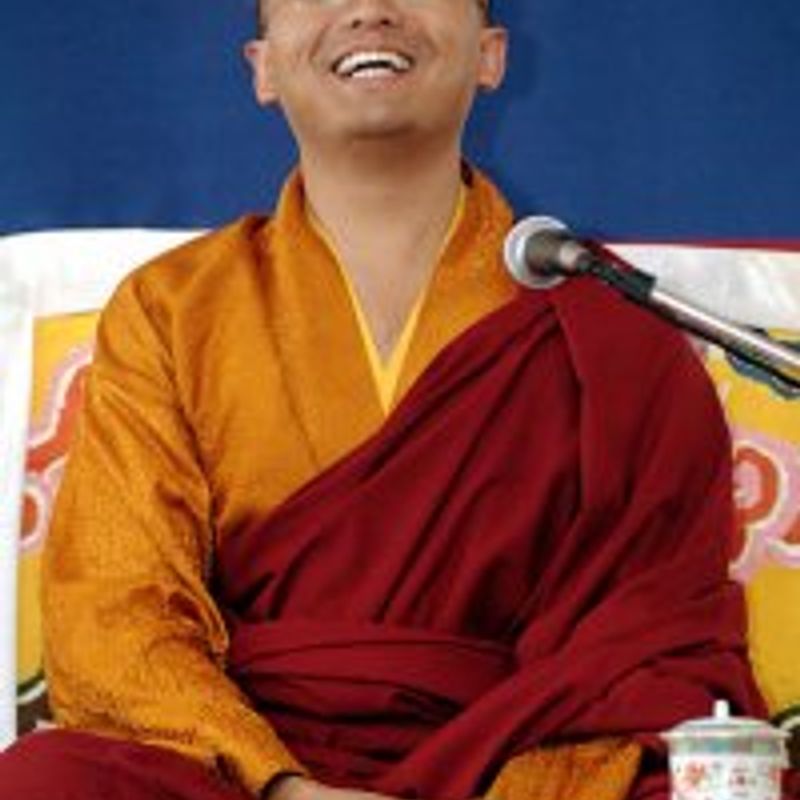 Yongey Mingyur Rinpoche profile picture