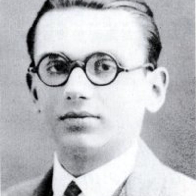 Kurt Gödel profile picture
