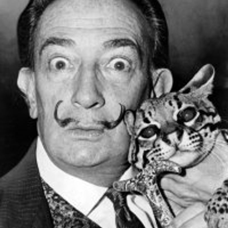 Salvador Domingo Felipe Jacinto Dalí i Domènech, 1º Marquês de Dalí de Púbol profile picture