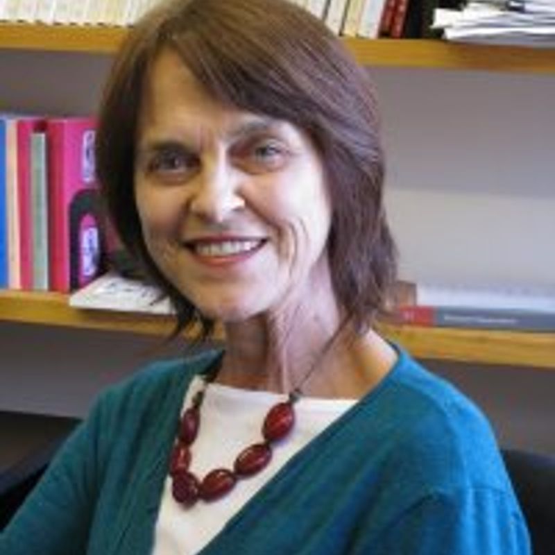 Margareth Rago profile picture