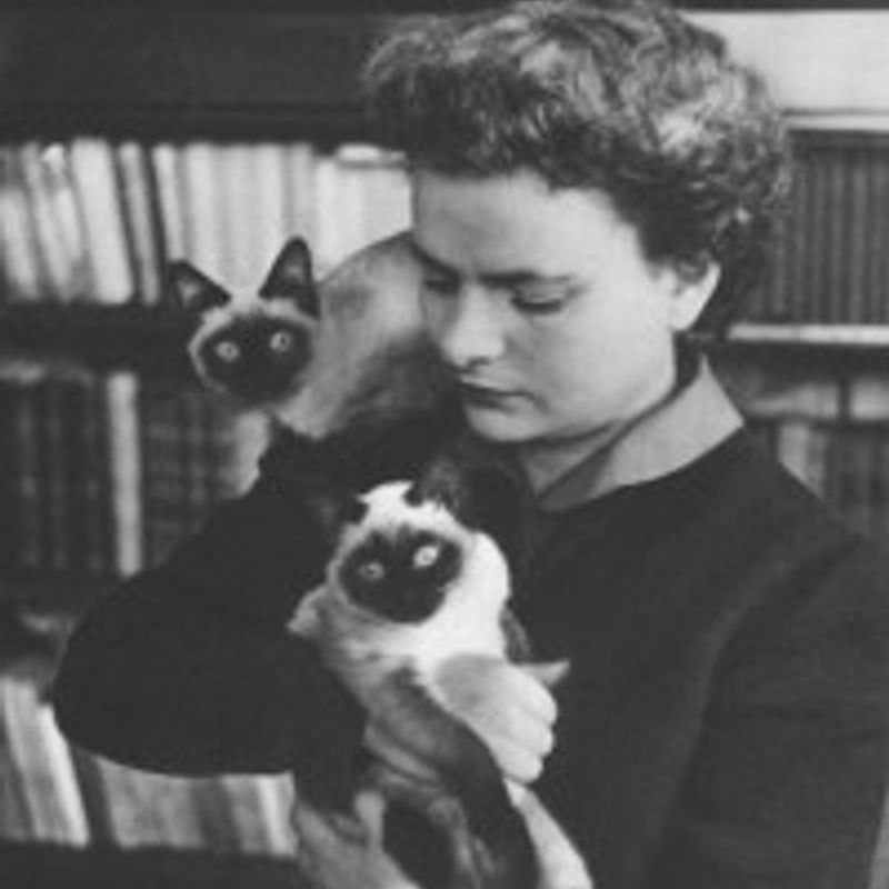 Elsa Morante profile picture