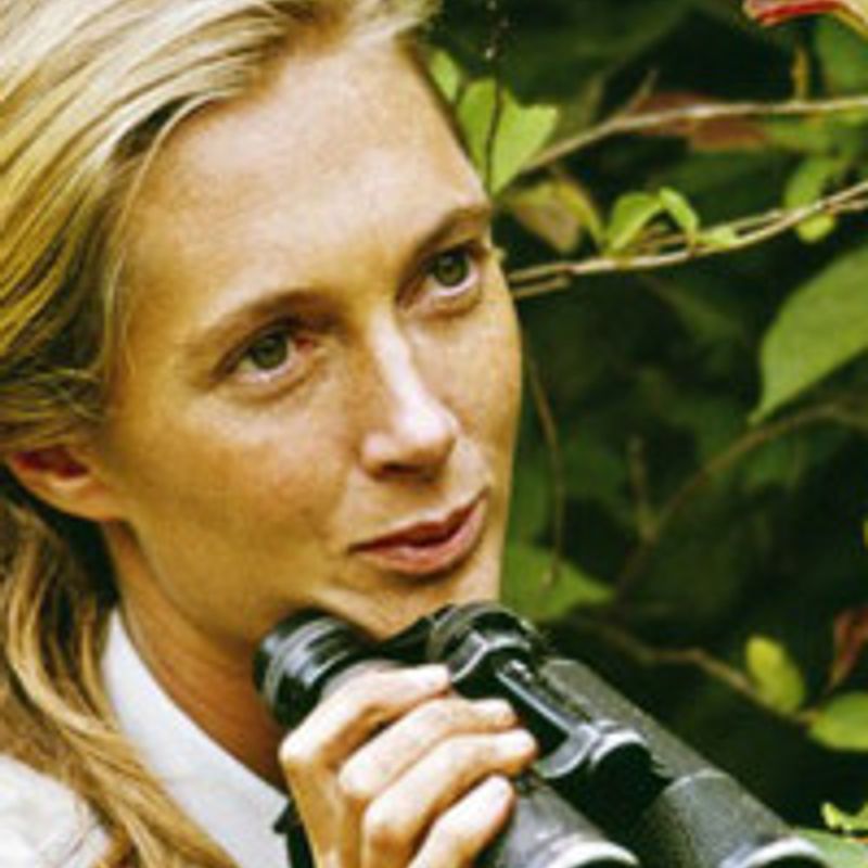 Dame Valerie Jane Morris Goodall profile picture