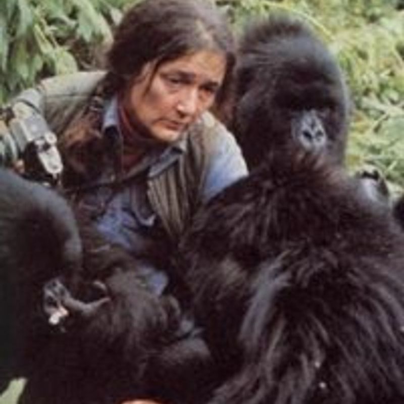Dian Fossey profile picture