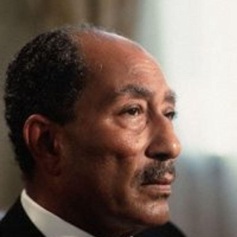 محمد أنور السادا profile picture