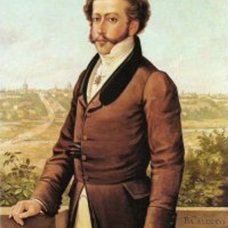 Pedro de Alcântara Francisco António João Carlos Xavier de Paula Miguel Rafael Joaquim José Gonzaga profile picture