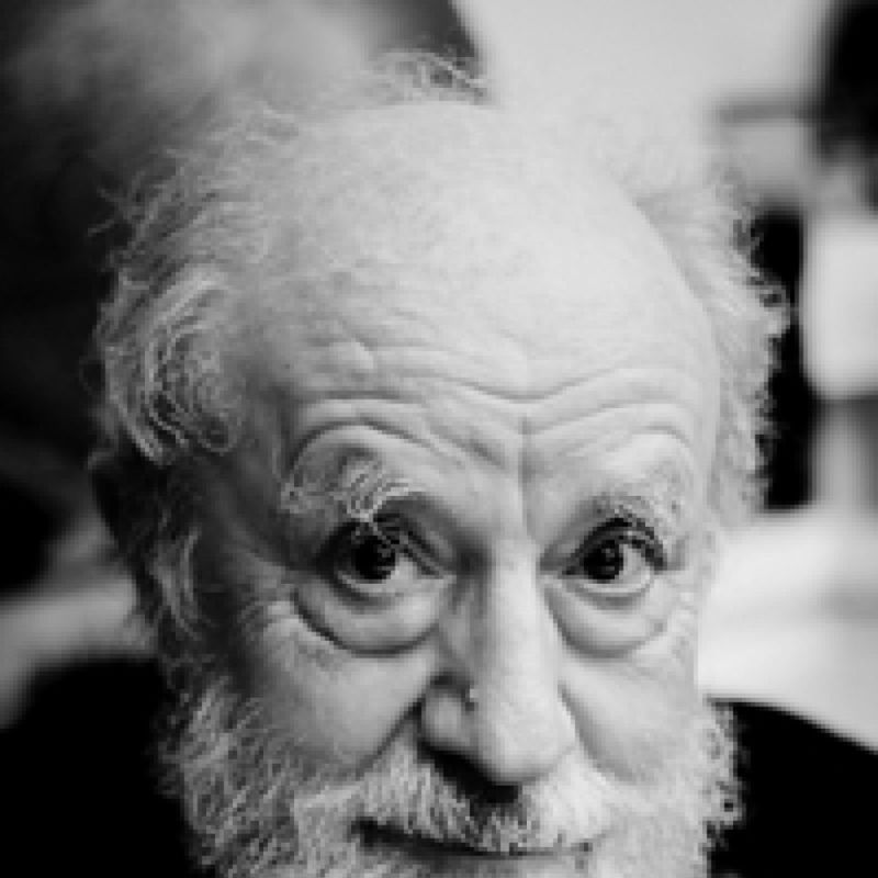Michel Butor profile picture