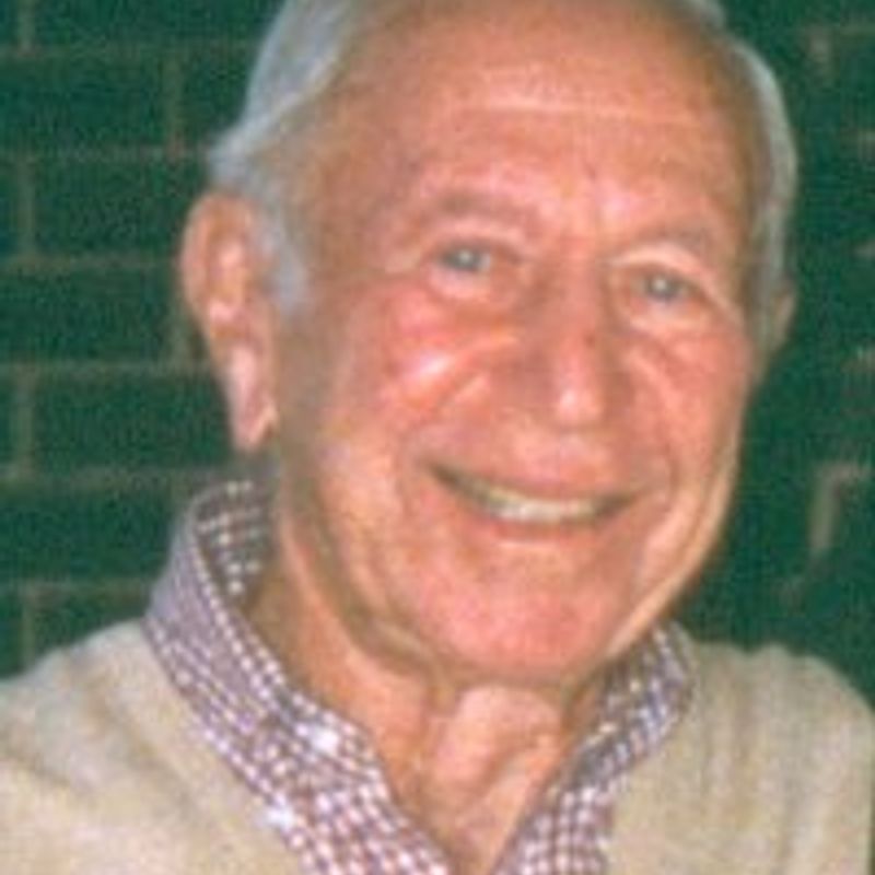 Alexander Lowen profile picture