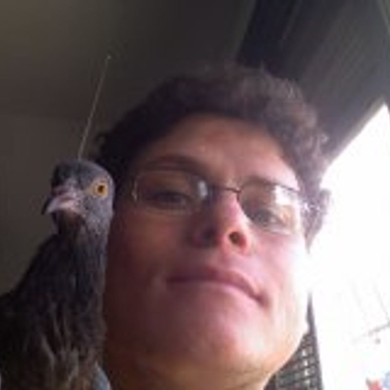 Fernando Mendes Lima Moura profile picture