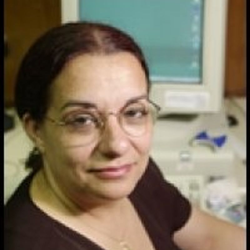 Bernadete Matosinhos Duarte profile picture