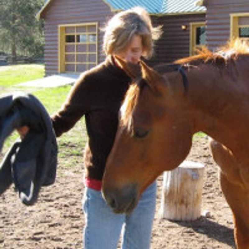 Michelle Blake profile picture