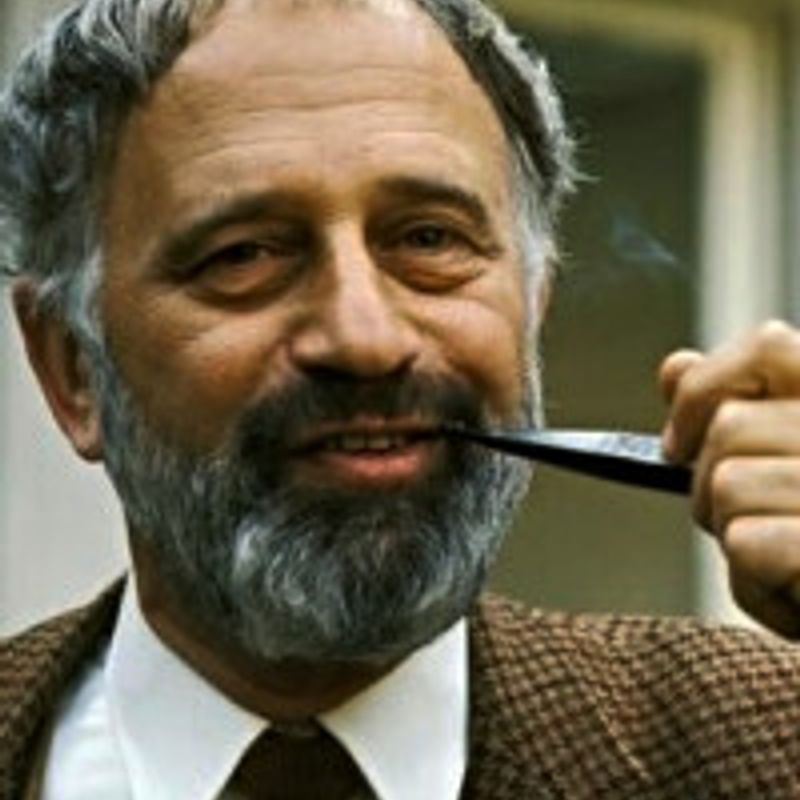 Wolfgang Hildesheimer profile picture