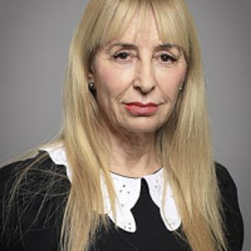 Susan Adele Greenfield profile picture